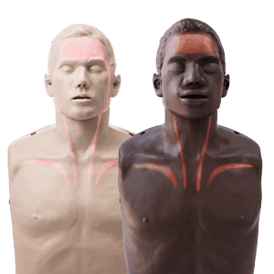 Brayden CPR Manikins by MEDILIFE — image 6